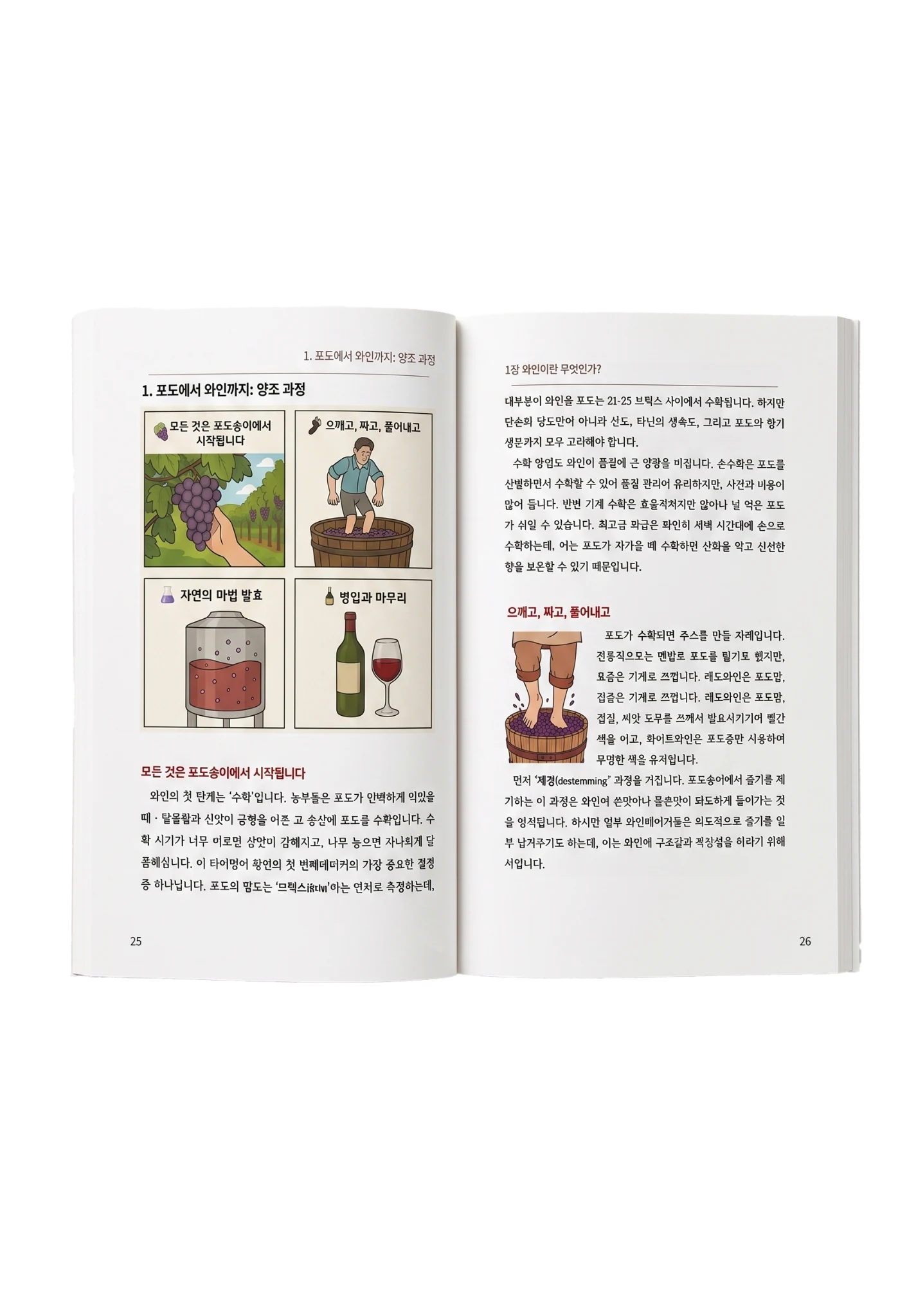AI가 알려주는 와인의 모든 것 펼친 책